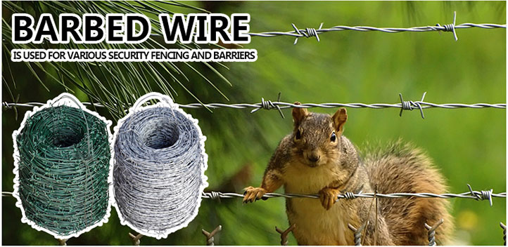 Barbed-Wire